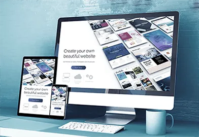 Your Next Web Development Agency